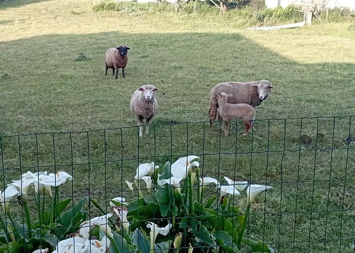 Quinta Dos Raposos- Portugal Casa di campagna Nazaré